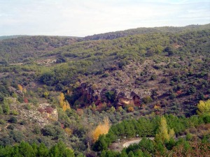 La hoz del Jarama