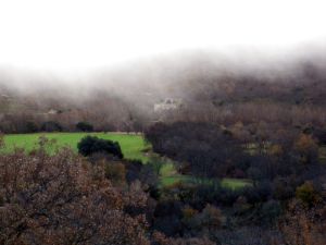 130117 bajo niebla 2