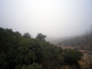 130117 bajo niebla 4