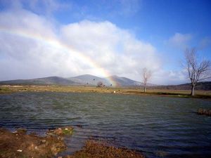 130307 aves lagunas 2