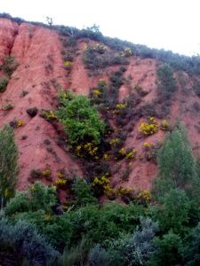 130610 del rojo al amarillo 2