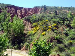 130614 verdes y amarillos 2