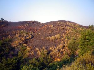 130912 valdesotos incendio 2