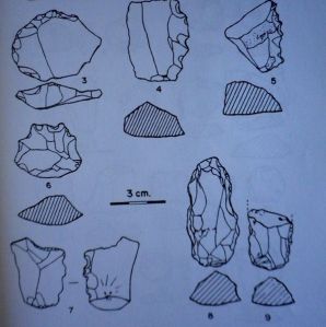 Buriles y denticulados de Sorbe V