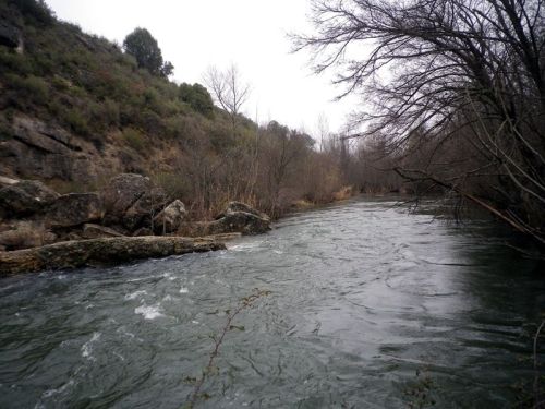 El Sorbe en el puente Culebro