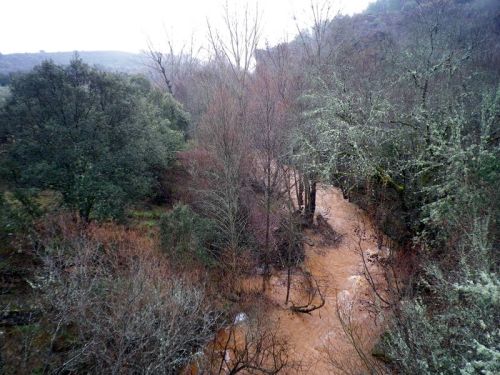 El Jarama en el puente medieval de valdesotos