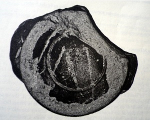 Ceramica sigillata de Los Quintanares