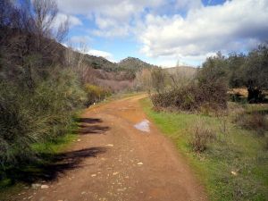 140417 de los caminos 2