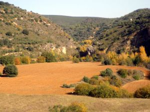 141128 fcañon jarama 1