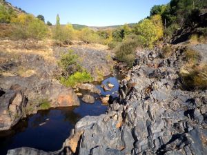 El río sorbe en Muriel