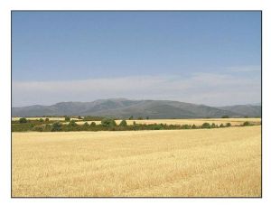 llanos meseta Retiendas 2